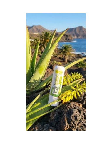 TABAIBALOE ALOE VERA LIP BALM - 4,8gr